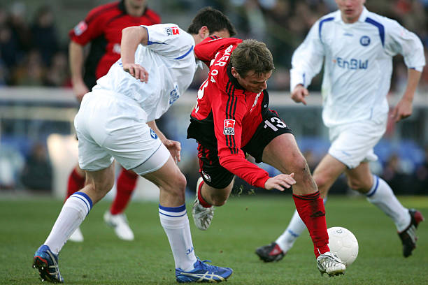 新东家而言 新东家而言